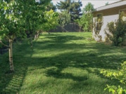 Lawn and trees before