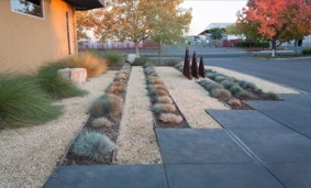 Corporate office landscaping